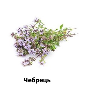 чебрець